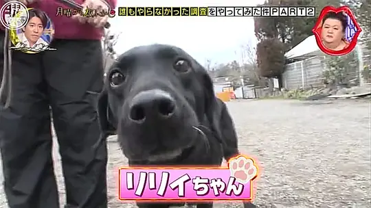 月曜から夜ふかし